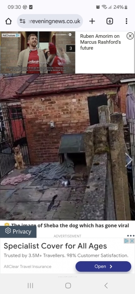 Dog left out at night WWYD