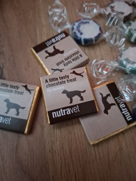 To think this isn't a great idea in a petshop?