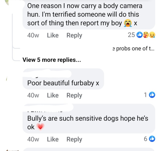 To think something needs to be done about all these dog attacks?