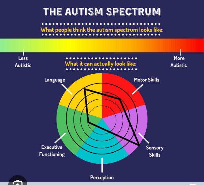 Boyfriends autistic son