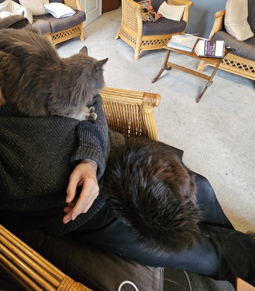 Lap dances, strippers and punch-ups - the Excellent Cats arrange a stag party