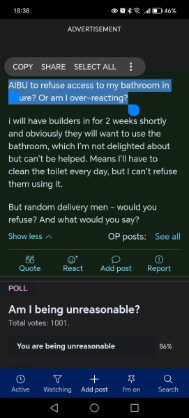 Delivery man using toilet