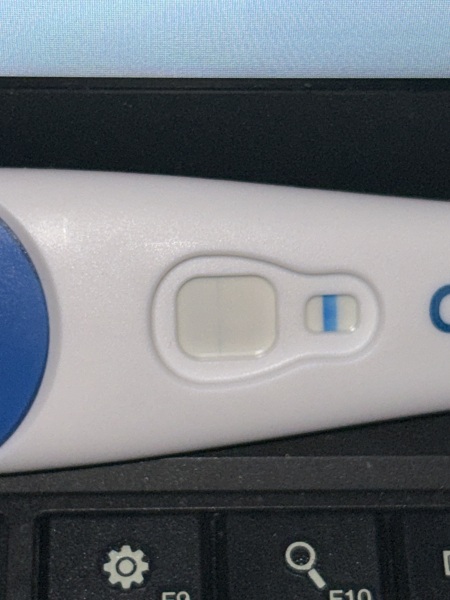 Clear blue test. Evap line or positive
