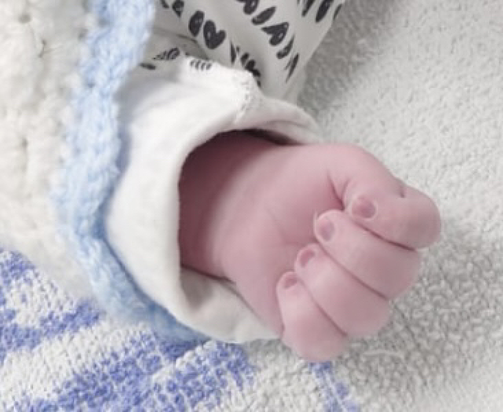 Preparing and TTC in 2022 part 8 💐