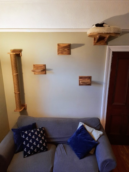 Does anyone have a cat wall?