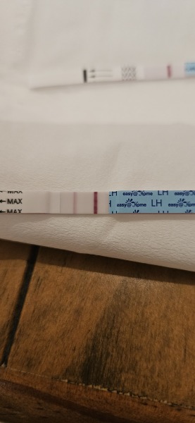 2dpo anyone with me ttc this cycle?