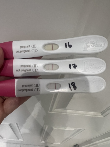 What did your 10/11 dpo tests look like?