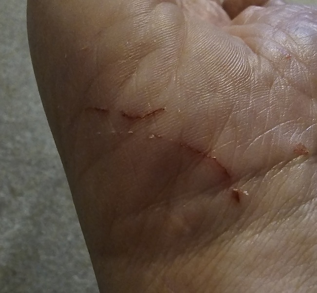 Lap dances, strippers and punch-ups - the Excellent Cats arrange a stag party