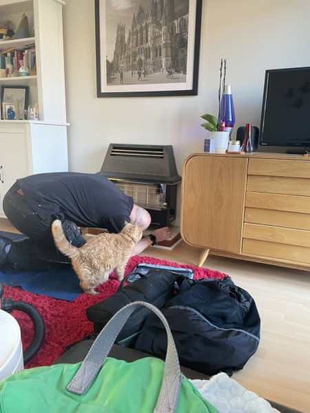 Pampered, Persian, Princess Penelope