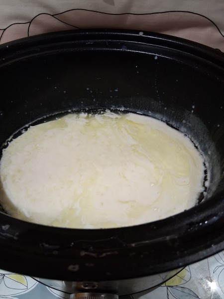 Sashaying into a svelte 2025 with Slimming World