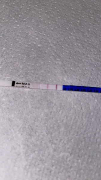 Ovulation strip positive or not??