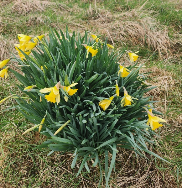 Mounjuro August  thread 12