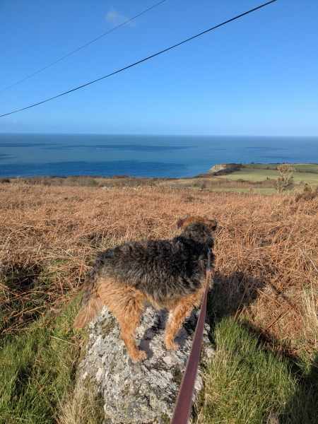 The Year Round Nigel Slater Discussion thread
