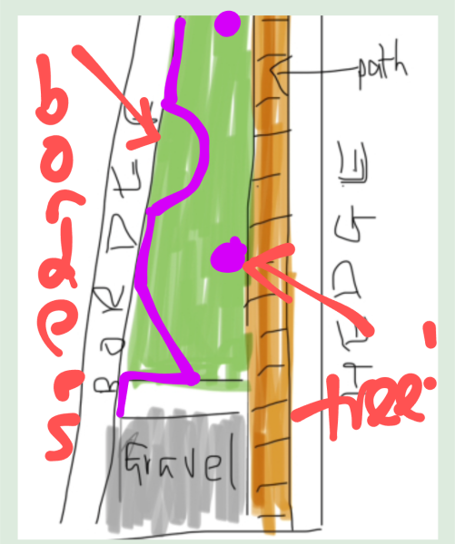 Clueless beginner gardener - help!