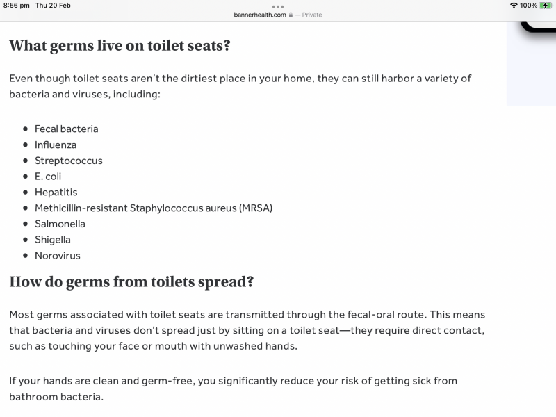 Delivery man using toilet