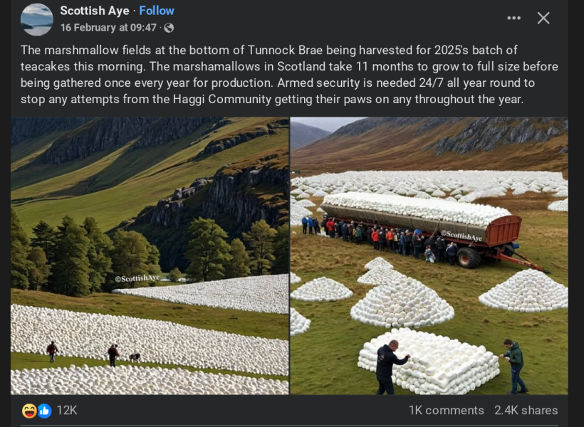 The Bluestocking. All gerbils welcome, must have own frou-frou skirt.