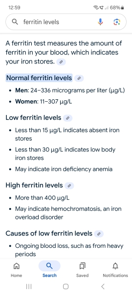 Please explain iron V ferritin
