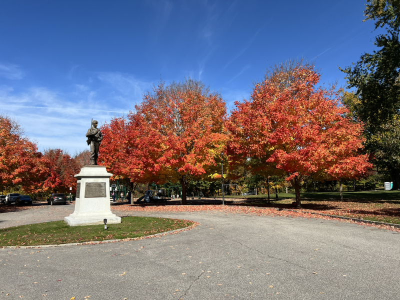 The Bluestocking: where conversation should supersede cards