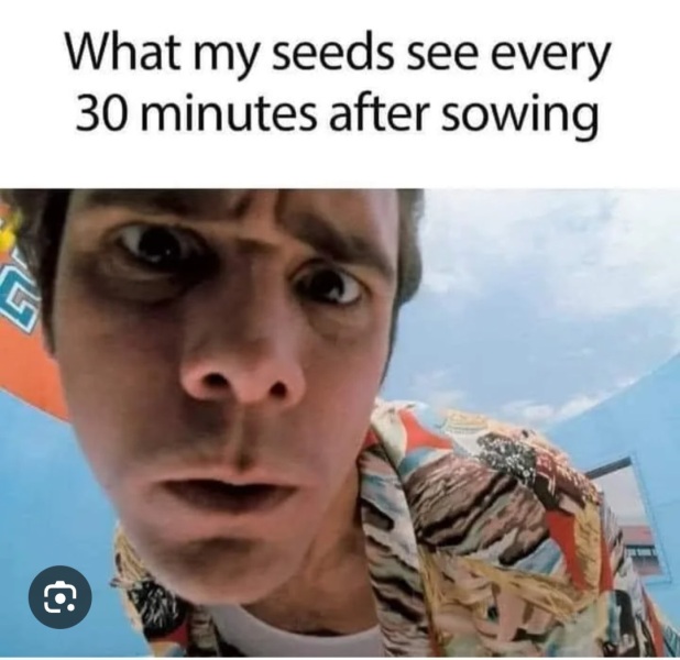 The sheer joy of planting seeds and watching them grow