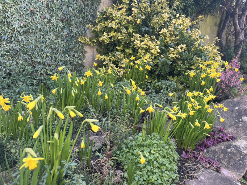 Come and tell us your dull and unexciting news 33: Calmly through the day