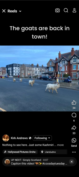 New Year, new weather thread