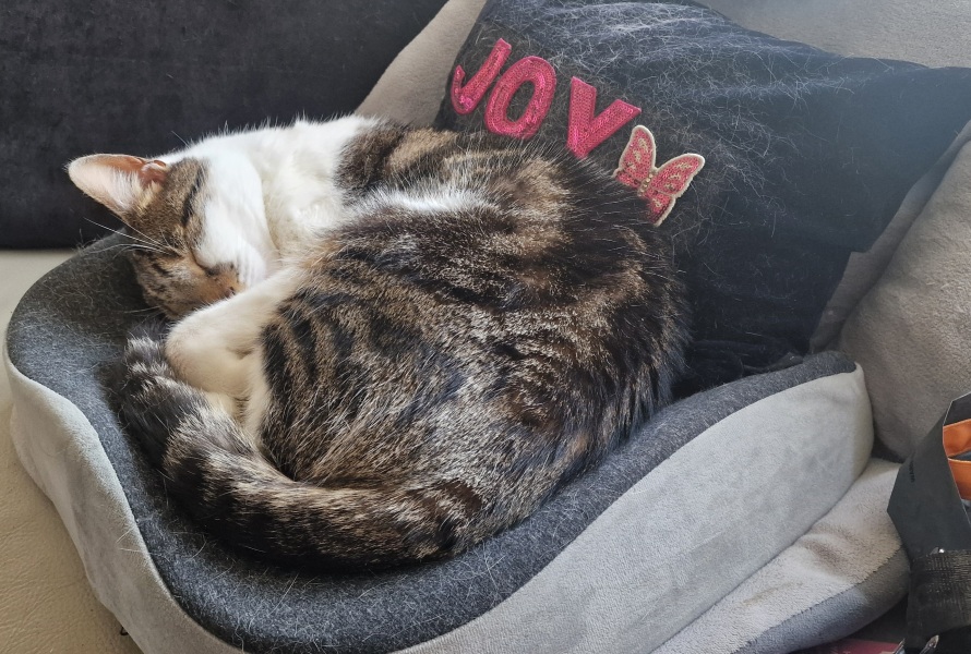 Thread 17: Starmer: Treading softly.