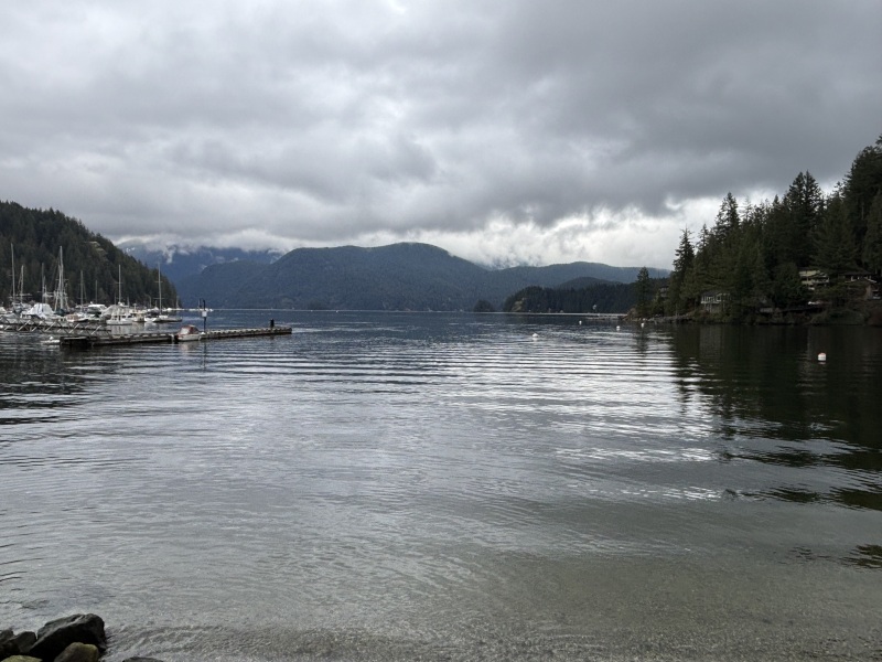 Come and tell us your dull and unexciting news 33: Calmly through the day