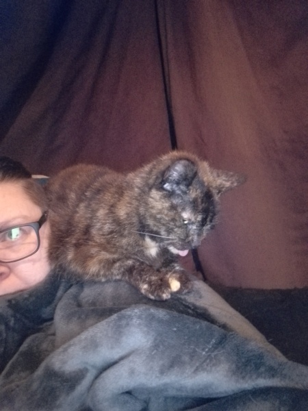 Lap dances, strippers and punch-ups - the Excellent Cats arrange a stag party