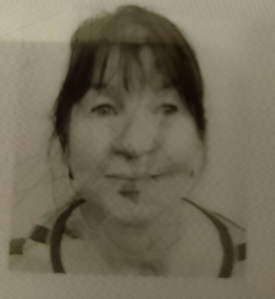 New UK passport: lines over photo ID - is this a new security feature?