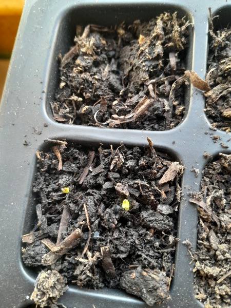 Any Witches here? Part 20