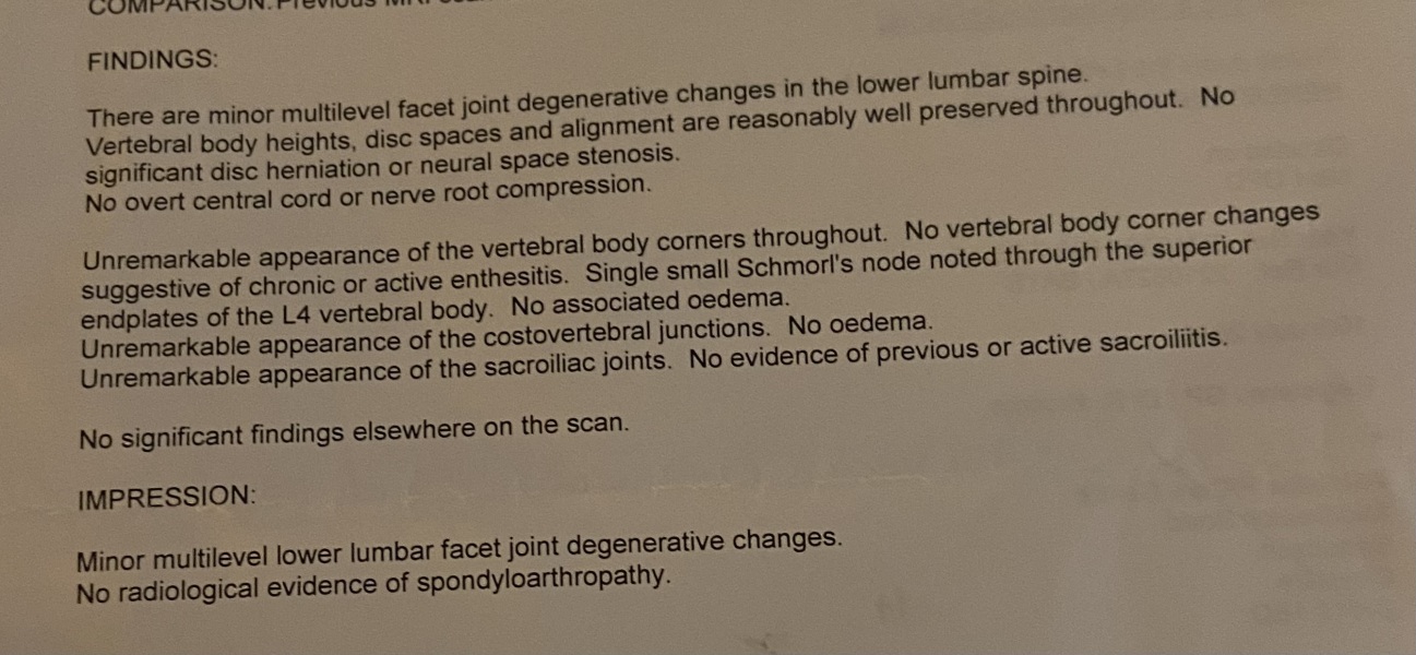 Any spinal experts, physiotherapists etc out there? MRI from 2018 posted, Schmori’s node detected in L4. My back pain is getting worse.