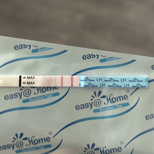 February 2025 TTC Support Group Part 2!