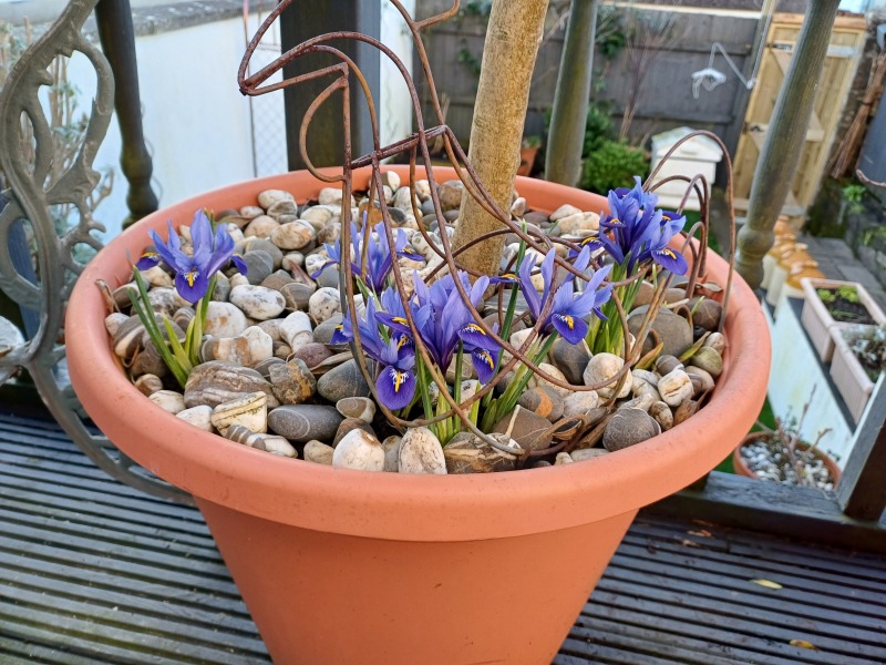 The Bluestocking: where conversation should supersede cards