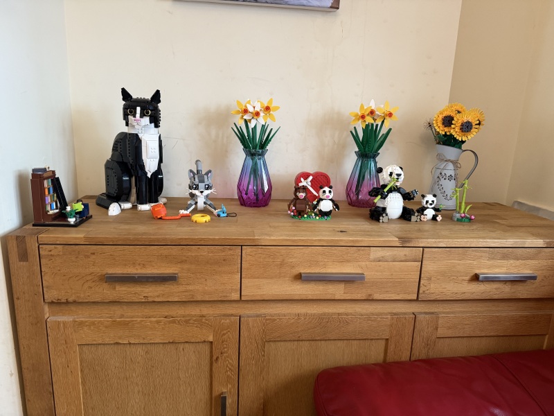 To show me your Lego collection?