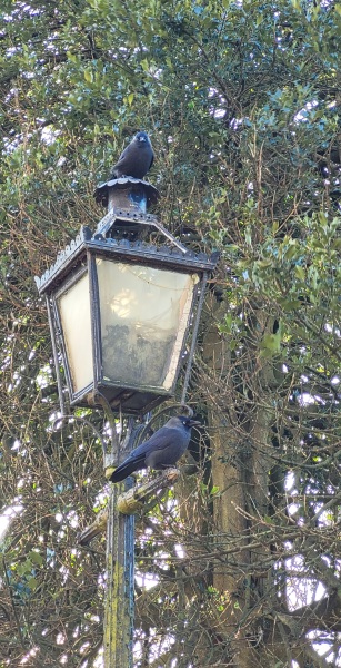 Thread 18 Starmer: All sides of the House agree apart from the Trump bootlickers