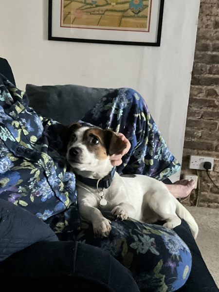 Thread 18 Starmer: All sides of the House agree apart from the Trump bootlickers