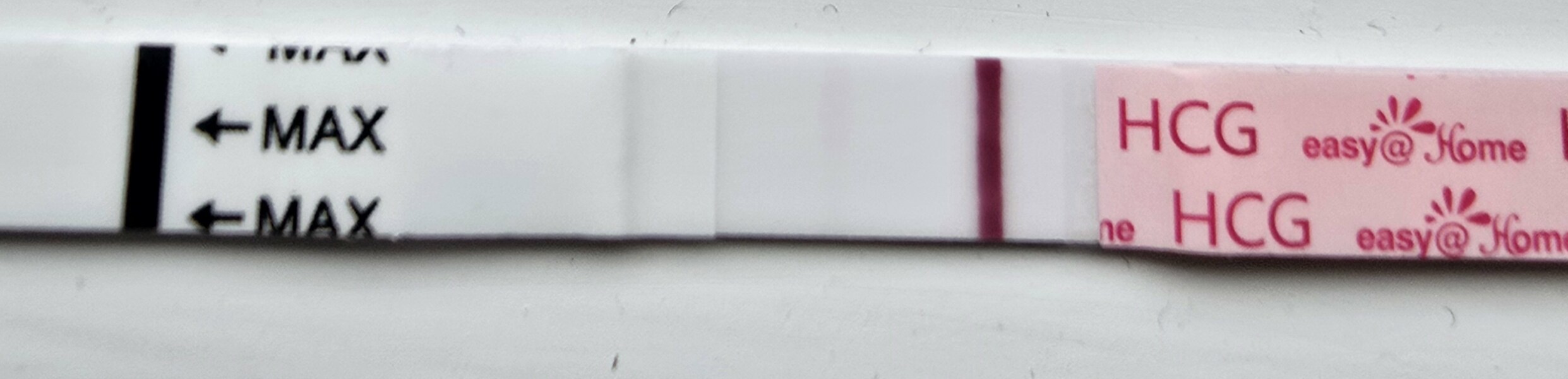 February/March FET