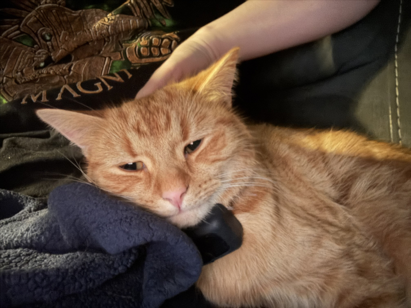 Lap dances, strippers and punch-ups - the Excellent Cats arrange a stag party