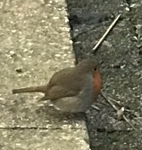 Thread 18 Starmer: All sides of the House agree apart from the Trump bootlickers