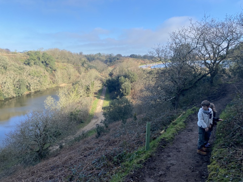 Cancer Support Thread 96: It’s nearly Christmas - get the sprouts on.