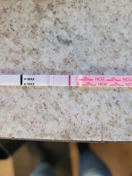 February 2025 TTC Support Group Part 2!