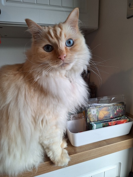 The Year Round Nigel Slater Discussion thread