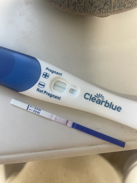 Feel like I’m losing the plot