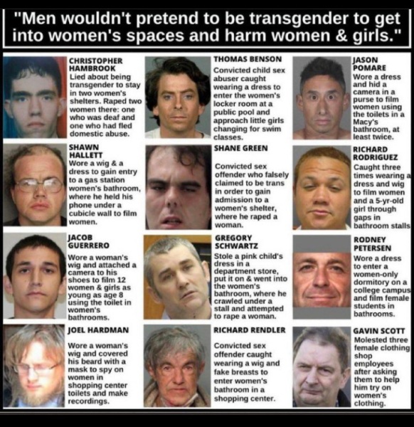 Anyone else think Trump will ultimately do more damage to the gender critical cause?