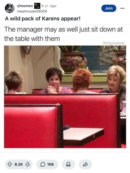 To think they call us Karen because they fear us