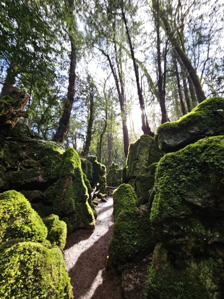 The Year Round Nigel Slater Discussion thread