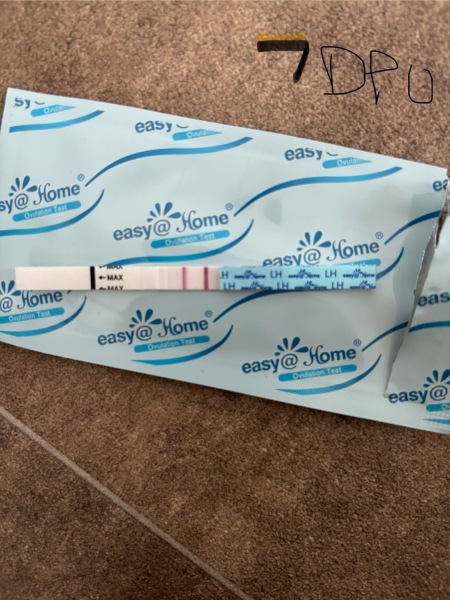 Ovulation sticks to check for pregnancy?