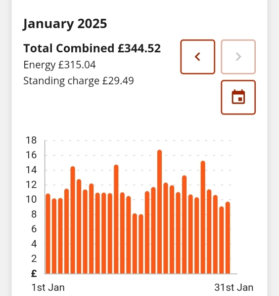 Hiw much was  your January gas and elec bill?