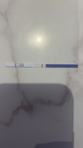 11dpo