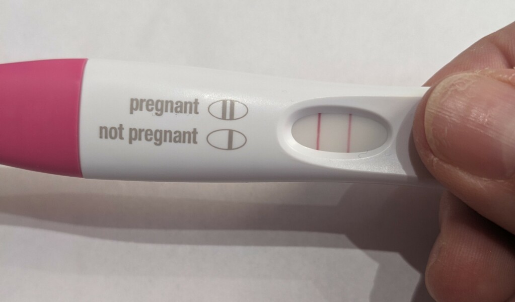 February/March FET